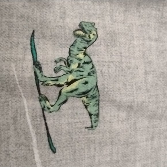 BOYS Dinosaur Shirt Gray Surfing Cat & Jack Button Down Long Sleeve  NWT - Picture 9 of 9